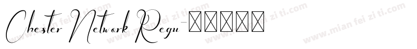 Chester Network Regu字体转换